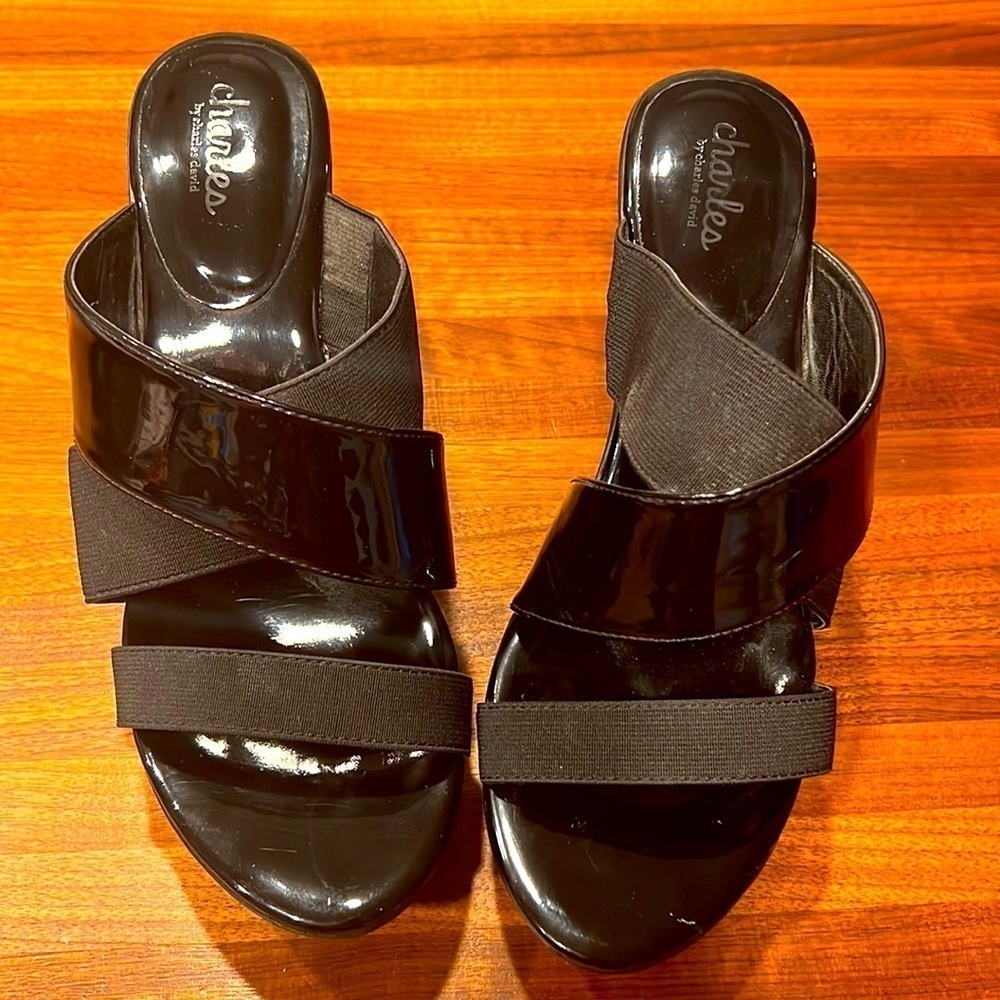 CHARLES BY CHARLES DAVID
Fefe Platform Wedge Sandals - Size 9